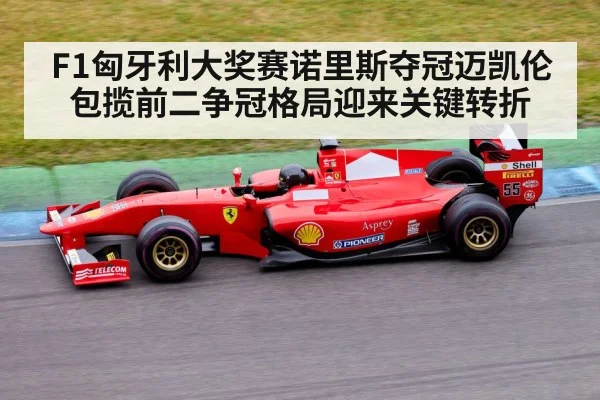 F1匈牙利大奖赛诺里斯夺冠迈凯伦包揽前二争冠格局迎来关键转折