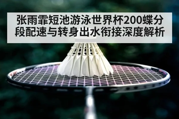 张雨霏短池游泳世界杯200蝶分段配速与转身出水衔接深度解析