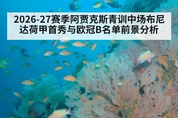 2026-27赛季阿贾克斯青训中场布尼达荷甲首秀与欧冠B名单前景分析
